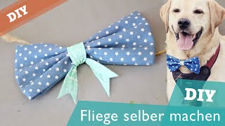 Fliege / Schleife ohne Nähen | Hunde DIY | selber machen | Hundekanal