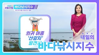 [바다낚시지수] 2023년 8월 27일 우리나라 서해안에서 희귀 어종 산갈치 처음 발견! / 해양예보방송