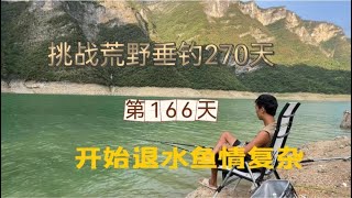 挑戰連續野釣270天 第166天 大自然的神秘窩料打窩最後能否見奇效