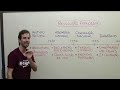 REVOLUÇÃO FRANCESA | Revisão de História para o Enem