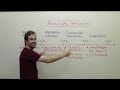 REVOLUÇÃO FRANCESA | Revisão de História para o Enem