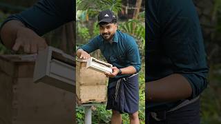 Bee Pollen Catcher | തേനീച്ചകളുടെ പൂമ്പൊടി കളക്ട് ചെയ്യാനുള്ള സെറ്റപ്പ്  #beekeeping  #farming #4k