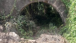 History of The Gully/The Arch - Goodings Road where some build their non-permitted homes - Barbados