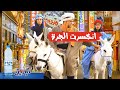 انكسرت الجرة  - ويلامي wilamie