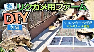 ★【🐢リクガメ用ファームDIY②】屋外放飼場の床面と天井の安全対策 🐢成長したフチゾリリクガメも登場  @ZOOTIMEch  tortoise farm DIY