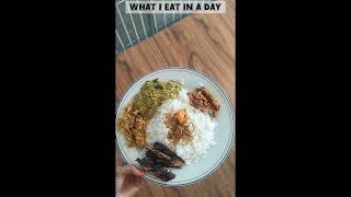 ഇന്ന് ഇതൊക്കെയാ കഴിച്ചത് 🤤 What i eat in a day🍱🍱