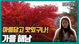 [생생3도] 아름답고 맛있구나! 가을 해남 | KBS 221118