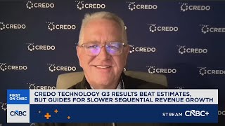 Credo CEO Bill Brennan: This AI buildout is global in nature