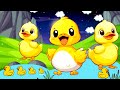 🐤 Five Little Ducks  | Nursery Rhymes & Baby Song |🦢 5 Little Ducks | English Song