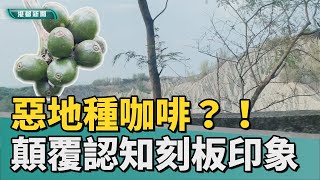 義守大學媒體識讀|惡地種咖啡？！顛覆媒體識讀認知刻板印象