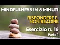 MINDFULNESS IN 5 MINUTI : RISPONDERE E NON REAGIRE esercizio n. 16