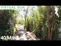 Virtual Running Videos | 40 Minutes Virtual Run Forest | Treadmill Scenery