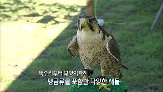 제주에서 만난 동물원 (화조원)