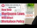 How Medical & Recreational Marijuana Laws Affect Workplace Policy