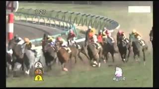 競馬情報　2014年　フラワーC G3　バウンスシャッセ