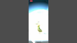 【ポケモンGO】ジャノビーをジャローダに進化させてみた