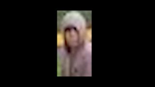 Broward County deputies search for suspect in Weston assault, indecent exposure