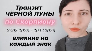 Транзит Лилит по Скорпиону: влияние на знаки и дома 🖤