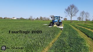 Fauchage 2020