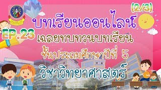 เฉลยใบงาน | ประถมศึกษาปีที่ 5 | วิทยาศาสตร์ | EP.23 | [2/3]