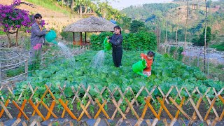 Living sustainably Off the grid for 4 years! Aquaculture using Grass, Mountain Goats, Gardening