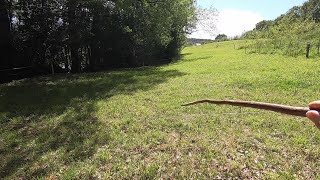 Transformer la nature avec un bâton. Le bâtonnage des fougères.