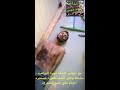 اعترافات انتحاري سعودي وقع بيد الحشد المقدس .