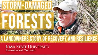 Storm-Damaged Forests: A Landowner Story of Recovery and Resilience