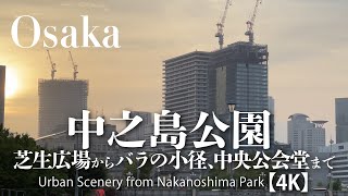 中之島公園芝生広場からバラの小径、中央公会堂まで【4K】 Urban Scenery from Nakanoshima Park