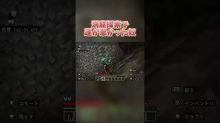 運が悪かった奴【Minecraft】#マイクラ #マインクラフト #洞窟