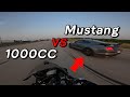 CBR1000RR VS MUSTANG | PURE SOUND “CHILL RIDE“ | 4K