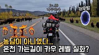 [10,000km 모토캠핑 EP.29] 아메리카 들소가 점령한 도로