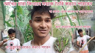 আখের চারা কিভাবে সহজে তৈরি করতে পারবেন