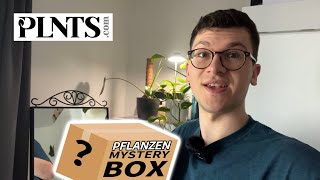 Pflanzen Mystery Box📦 | Unboxing von PLNTS Sustainability Box 🌱