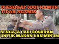 TIDAK ADA YANG MAU MENOLONG SENGAJA DIBIARKAN KASIHAN  MAKAN DIATAS 54MPAH.. DIANGGAP 0DGJ