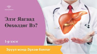 Элэг Яагаад Өөхөлдөг Вэ?