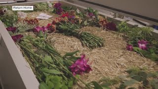 New law in Georgia will allow human composting, an alternative to traditional burial and cremation