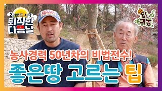 농사 50년 차 만랩이 알려주는 토마토 농사 노하우