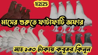 আজকে ৩০+ জোড়া নতুন অফার সাথে বাশিরাজ ককা,কালার ম্যাচিং রাজশাহী গিরিবাজ। Pigeon Market Mirpur-1 Dhaka