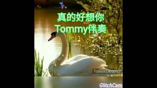 長相衣，Tommy伴奏，Landy主唱，Landy動畫製作