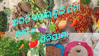 Amthi ବଜାର ବୁଲି ଆସ ଯିମା