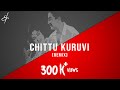 Chittu Kuruvi Mutham Koduthu - (R.M. Sathiq | Remix)