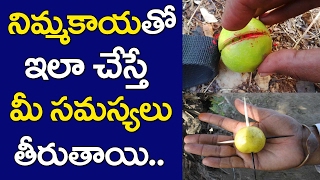 నిమ్మకాయతో ఇలా చేస్తే మీ సమస్యలు తీరిపోతాయి|Lemon on Negative Forces| Mana Nidhi | Telugu Devotional