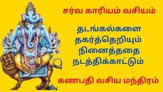 🔥சர்வ காரியம் வசியம் தடங்கல்களை தகர்த்தெறியும் நினைத்ததை நடத்திக்காட்டும் கணபதி வசிய மந்திரம்