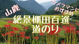 「絶景」山鹿市菊鹿町棚田百選と彼岸花