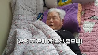 할머니의 산책 #1 Taking a walk with Grandma