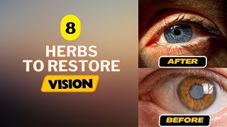Discover the top 8 herbs to protect your eyes and repair vision naturally