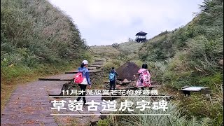 草嶺古道|啞口芒花|淡蘭古道分界的山嶺|跌死馬橋|仙跡岩|雄鎮蠻煙石碣|根盤纏勒大榕樹|虎字碑|