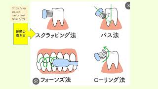 ・事実から考え・学び合う！（第259回）：歯周病と歯磨き法（バス法）：第112回看護師国家試験、午後問題029