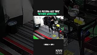 당구장서 국수 먹으려는 순간, 공이 날아오더니... / KNN